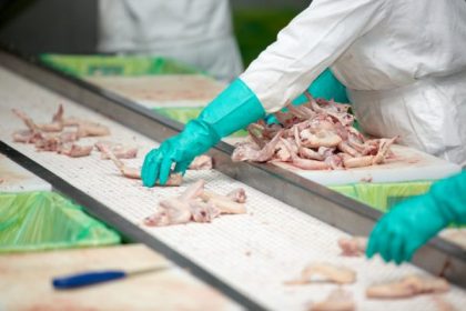 Protecting the Safety and Health of Poultry-Processing Workers